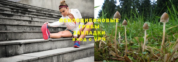 spice Карталы