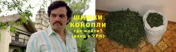 spice Карпинск