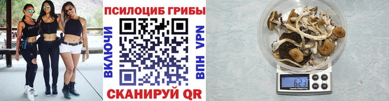 Галлюциногенные грибы GOLDEN TEACHER  Купить где  Дивногорск 